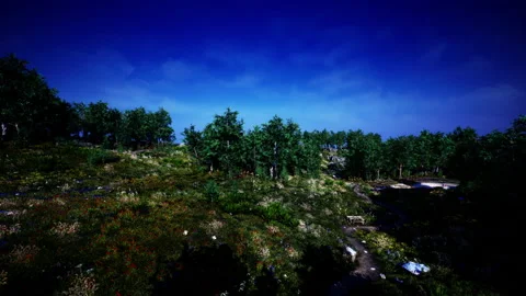 Beautiful valley with green trees Stock Footage 232924909
