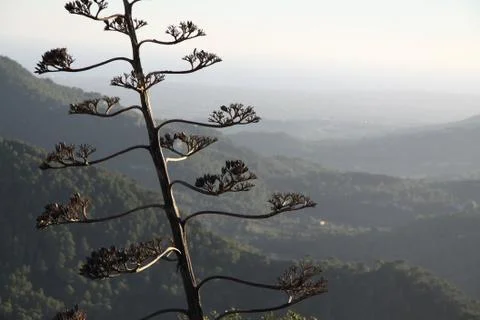 Beautiful valley Stock Photos