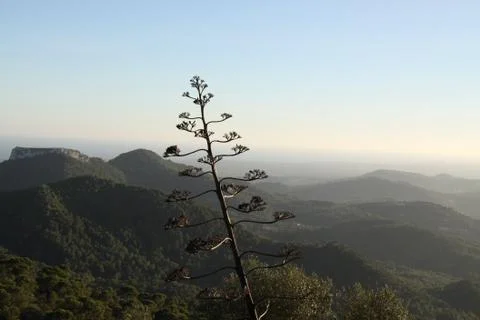 Beautiful valley Stock Photos