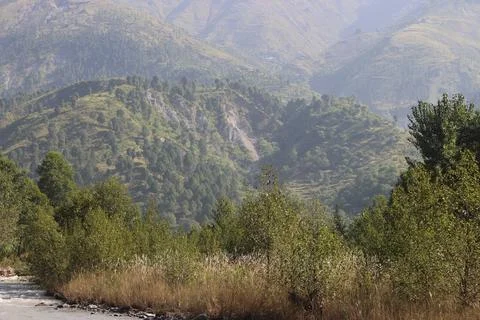 Beautiful Valley Stock-Fotos