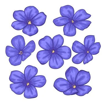 Beautiful Vector flowers set. Colorful floral collection with flowers. Stock Illustration