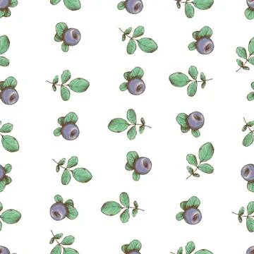 Beautiful vector seamless pattern with natural fresh blueberries. Bright blue Stock Illustration