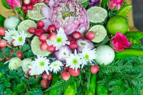 Beautiful vegetable Stock Photos