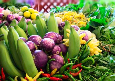 Beautiful vegetables Stock Photos