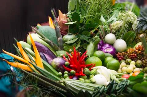 Beautiful vegetables Stock Photos