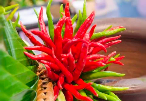 Beautiful vegetables Stock Photos