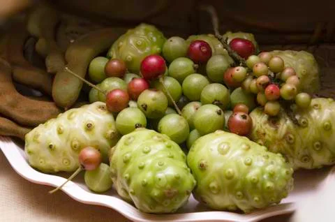 Beautiful vegetables Stock Photos