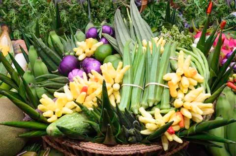 Beautiful vegetables Stock Photos