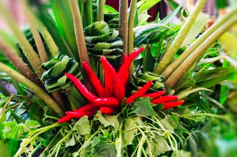 Beautiful vegetables Stock Photos