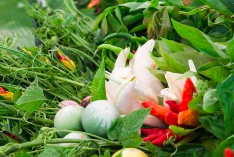 Beautiful vegetables Stock Photos