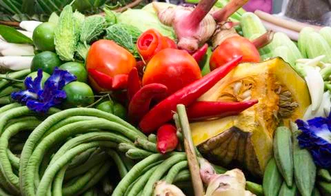 Beautiful vegetables Stock Photos