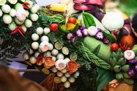 Beautiful vegetables Stock Photos