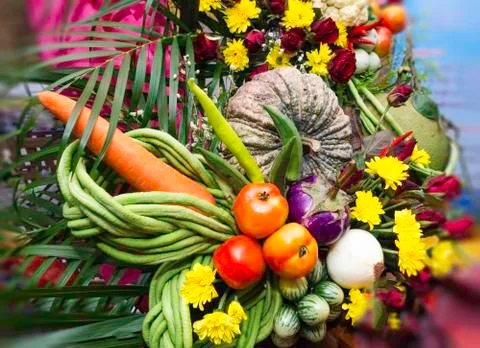 Beautiful vegetables Stock Photos