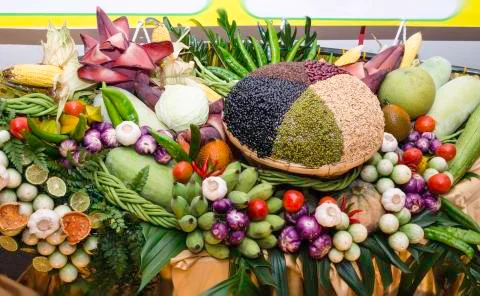 Beautiful vegetables Stock Photos