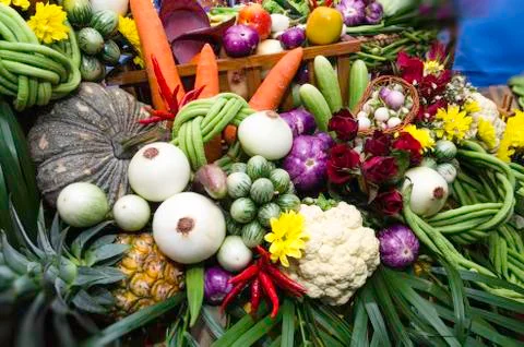 Beautiful vegetables Stock Photos