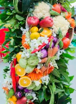 Beautiful vegetables Stock Photos