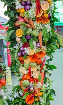 Beautiful vegetables Stock Photos