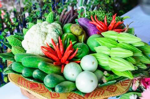 Beautiful vegetables Stock Photos
