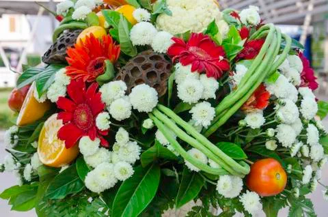 Beautiful vegetables Stock Photos