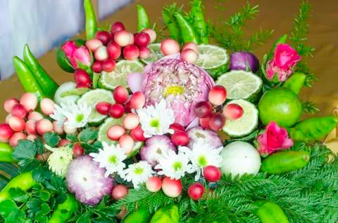 Beautiful vegetables Stock Photos