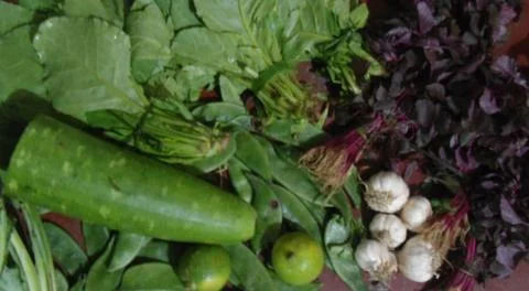 Beautiful vegetables Stock Photos
