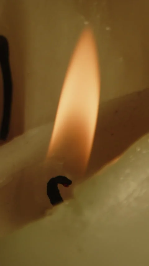 Beautiful vertical macro of a burning white candle with a flickering orange Video stock 336321248