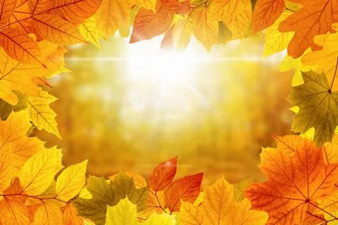 Beautiful vibrant fall background Stock Photos