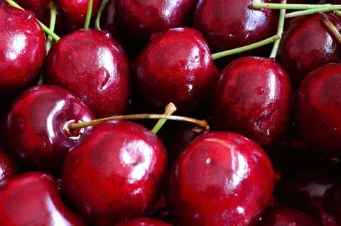 Beautiful vibrant wild cherry macro photo Foto stock
