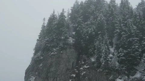 Beautiful video of snowing during winter time in frozen forest Stock Footage 221910040