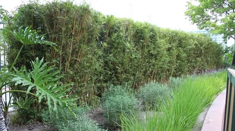 Beautiful View 3 Stock Footage 49970300