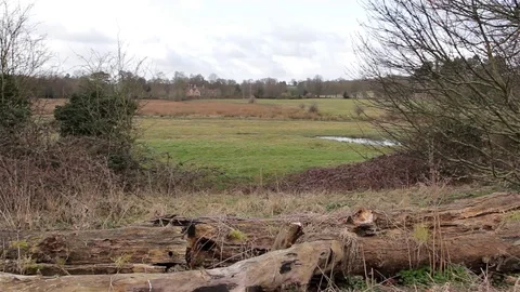 Beautiful View Across Rural Marsh land with Fields  streams and Trees Video stock 73040366