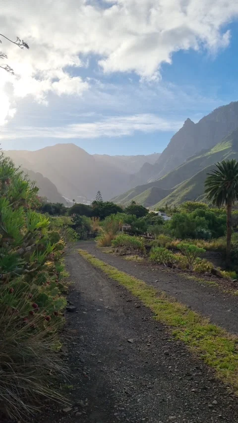 A beautiful view from Agate and Lomo de San Pedro in Tenerife, Stock Footage 307630686