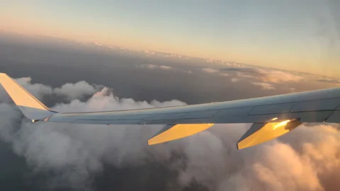 Beautiful view from an airplane during sunset Video stock 208851201