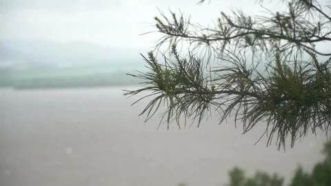 Beautiful View of Amur River Stock Footage 304927901