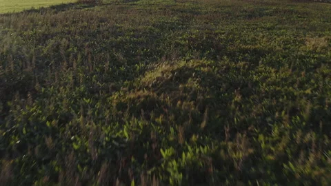 Beautiful view and cape of the lighthouse Stock Footage 131260959