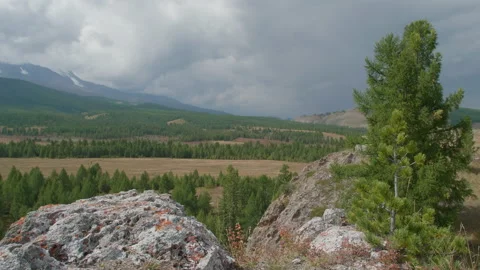 Beautiful view and trees Stock Footage 167483798