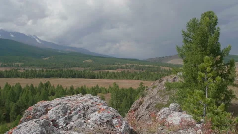 Beautiful view and trees Stock Footage 167620429