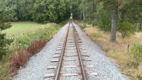 Beautiful view from the back of the moving train, peaceful tour Vídeo Stock 291994693