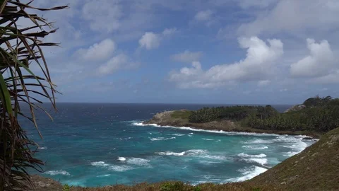 Beautiful view of the beach with waves Stock Footage 103662162