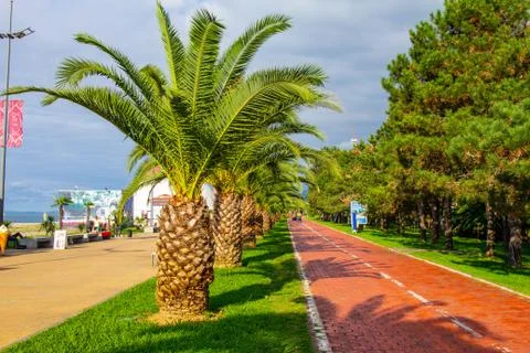 Beautiful view to Bicycle path for traffic along the embankment of the new Bo Stock Photos