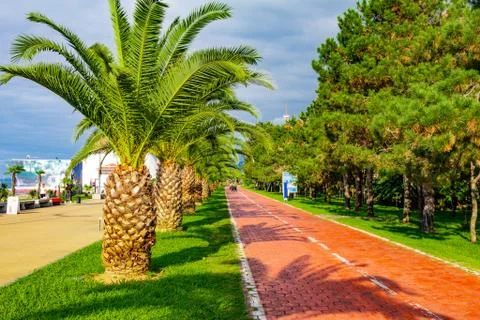 Beautiful view to Bicycle path for traffic along the embankment of the new Bo Stock Photos