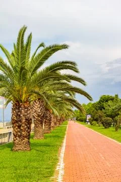 Beautiful view to Bicycle path for traffic along the embankment of the new Bo Stock Photos