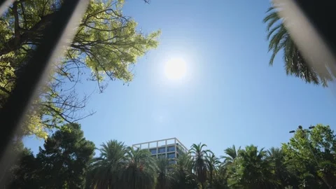 Beautiful View of Blue Sky with Sun. With Palms and Green Trees. Slow Motio.. Stock Footage 287589765