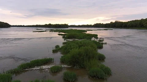 Beautiful view camera moving down center of river over green plants Stock Footage 49060595