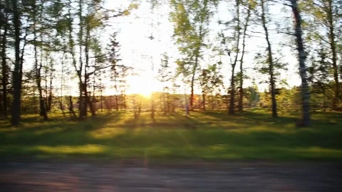 Beautiful view from the car window of fields and forests through the rays of the Stock-Footage 313892181
