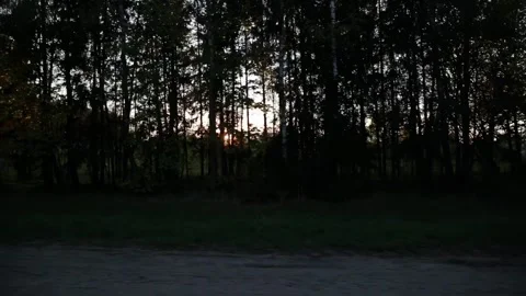 Beautiful view from the car window of fields and forests through the rays of the Stock Footage 314429158