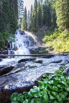 A beautiful view of cascade Gloria waterfall in the area of Big Cottonwood Ca Stock Photos