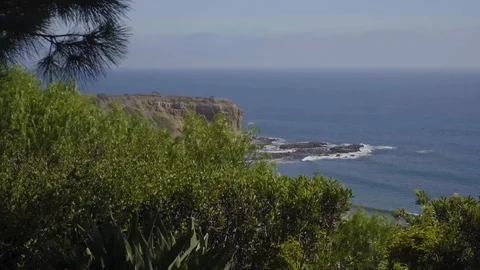 Beautiful view of the coastline through some bushes Stock Footage 99158050