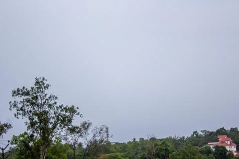 Beautiful view of the coconut trees with palm trees  in kottakkal, Kerala, .. Stock Photos