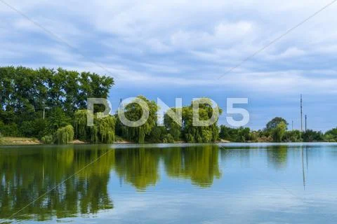 Beautiful view of country lake and trees Stock Photos